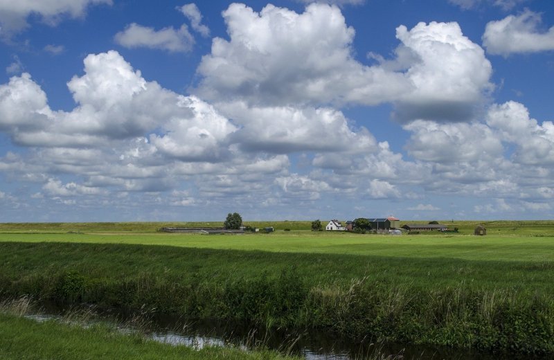 Omringdijk gf8a53711c1920